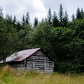 DSC 3439