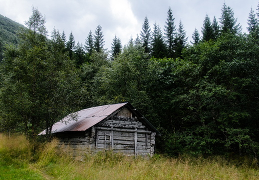 DSC 3439