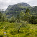 Ytre Skardet
