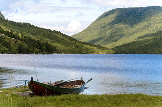 DSC 3604