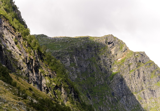 DSC 3607