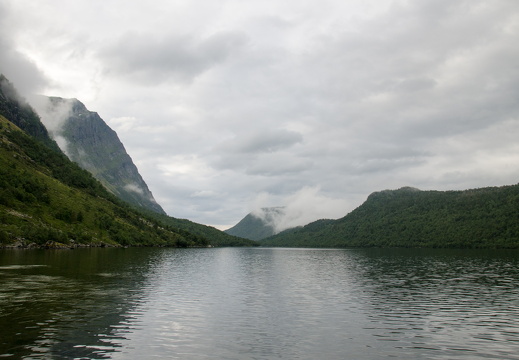 DSC 3531