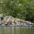 DSC 3614