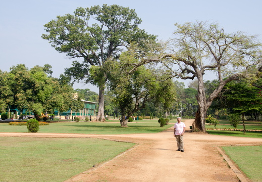 DSC 9680