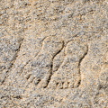 DSC 9587