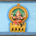 DSC 9755