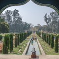 DSC 9689