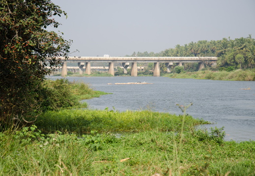 DSC 9684