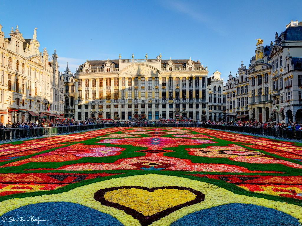 The flower Carpet on Grand Place in Brussels, August 2014