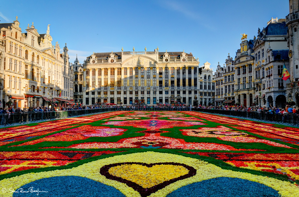 The flower Carpet on Grand Place in Brussels, August 2014