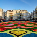The flower Carpet on Grand Place in Brussels, August 2014