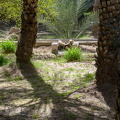 DSC 2901