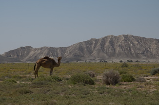 DSC 3191-001