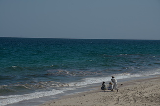 DSC 3185-001