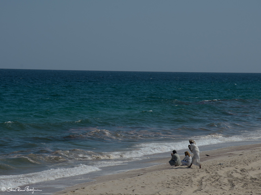 DSC 3185-001