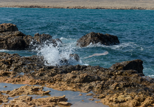 DSC 3173