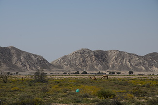 DSC 3194-001