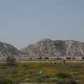 DSC 3194-001
