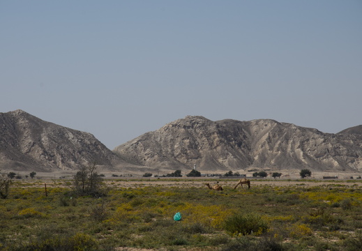 DSC 3194-001