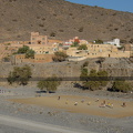 DSC 2937
