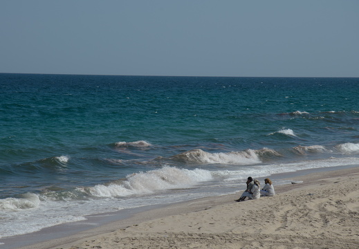 DSC 3186-001