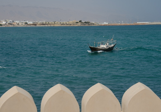 DSC 3221-001
