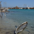 DSC 3229