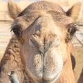 DSC 8744