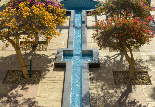 DSC 8719