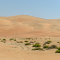 DSC 8816