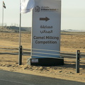 DSC 8714