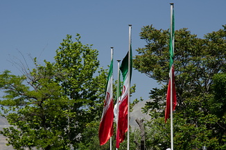 DSC 4228