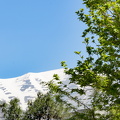 DSC 4216