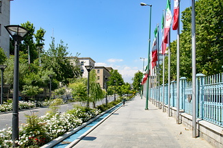 DSC 4347