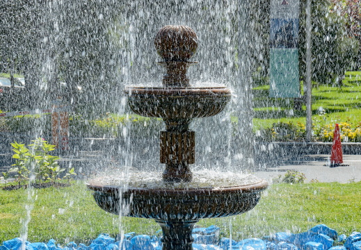 DSC 4222