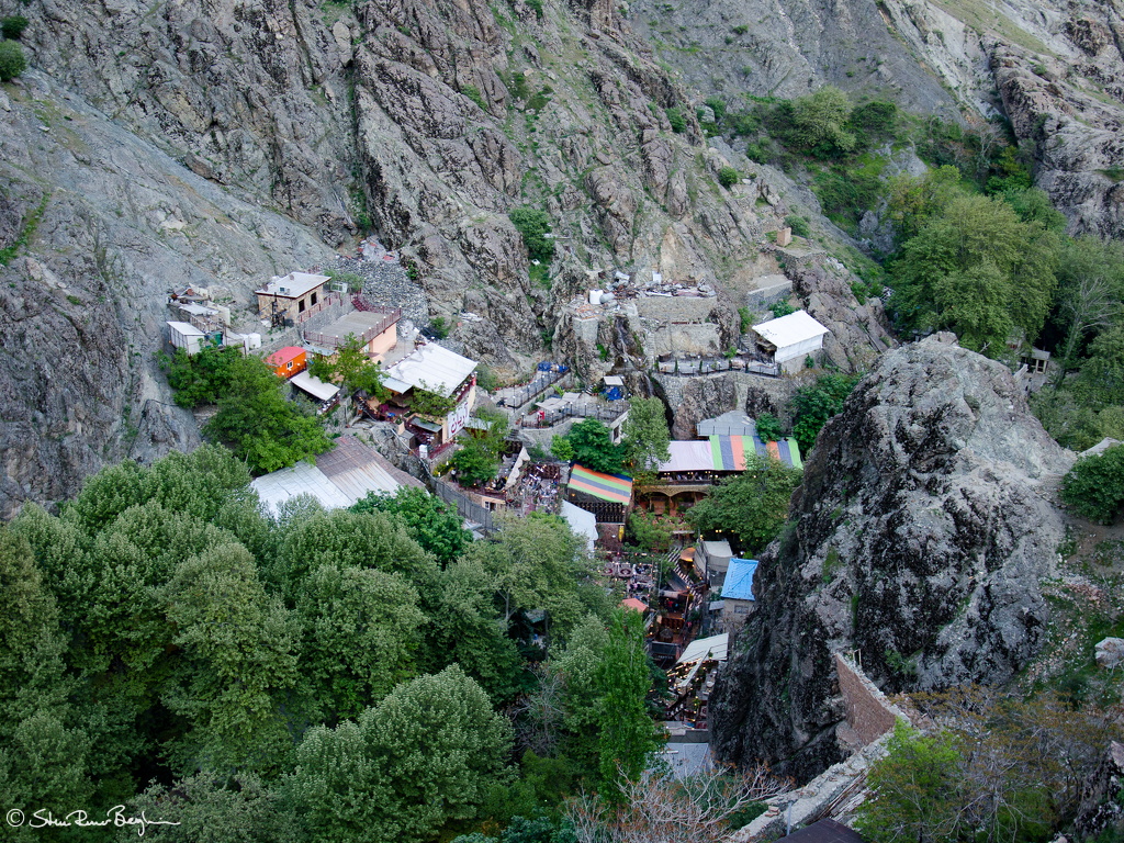 DSC 4400