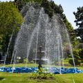DSC 4215