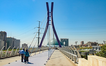 DSC 4251