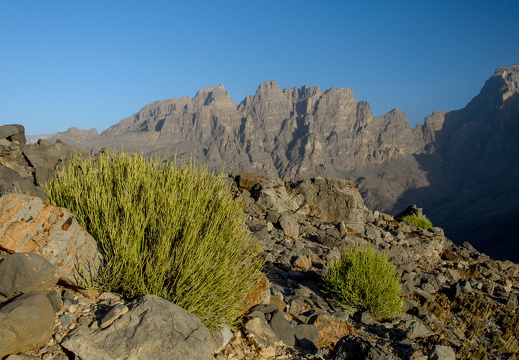 From the 'Aqabat al 'Ir pass between Wadi Bani Awf and Al Hijir