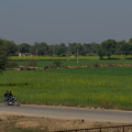 DSC 2080