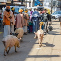 DSC 2149