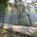 DSC 2641