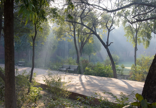 DSC 2641