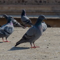 DSC 2055