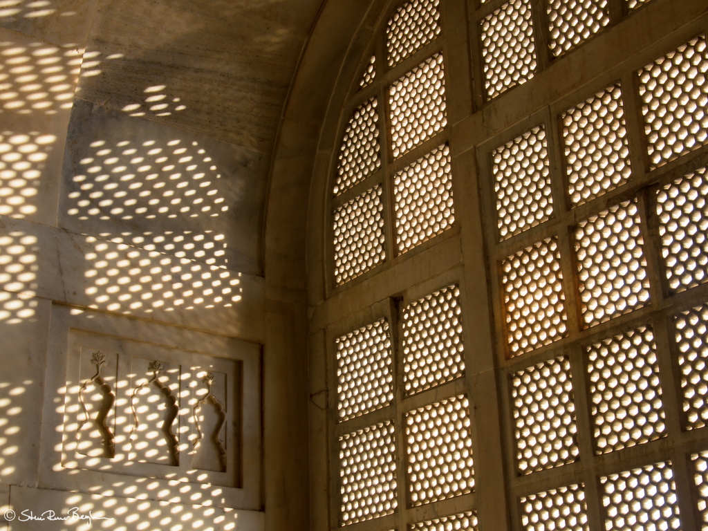 DSC 2600