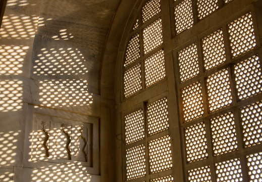 DSC 2600