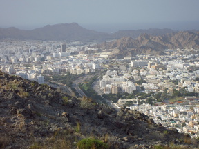 IMG 0132