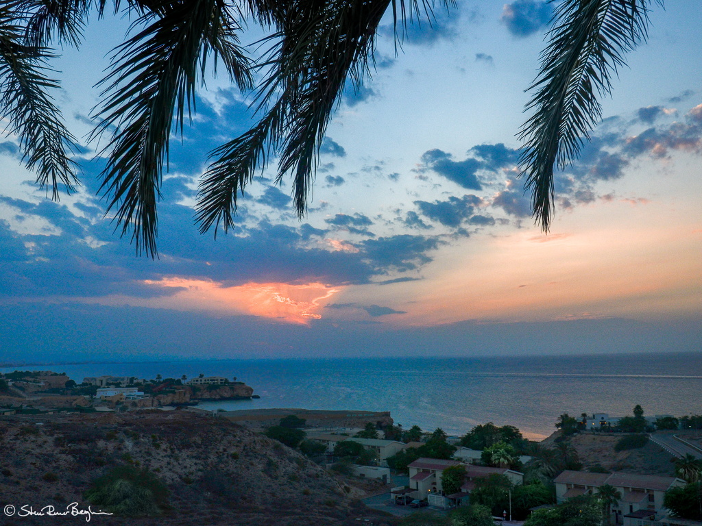 DSC 8228-HDR