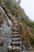 DSC 3700