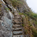 DSC 3700